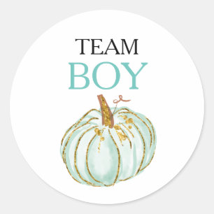 TEAM BLUE Gender onthullen Baby shower Game Labels