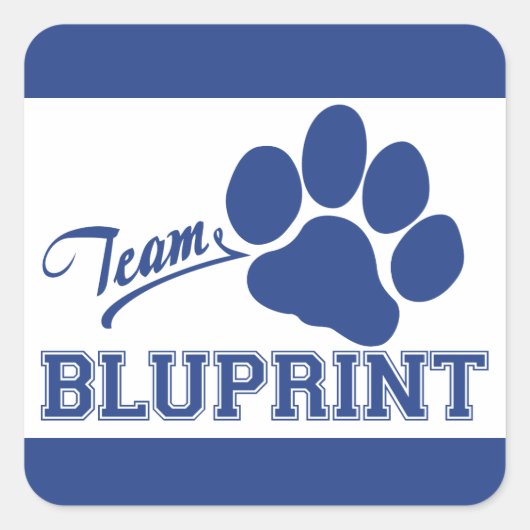 Team BluPrint Vierkante Stickers (Voorkant)