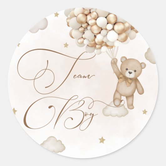 Team Boy Gender onthulling Ronde Sticker (Voorkant)