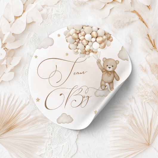 Team Boy Gender onthulling Ronde Sticker