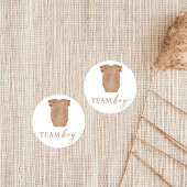 Team Boy Geslacht Onthullen Partij Stemmen Sticker