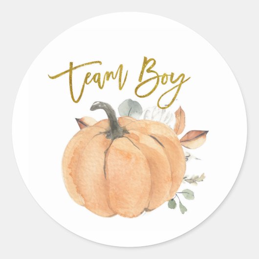 Team Boy Pumpkin Gender onthullen spellabel Ronde Sticker (Voorkant)
