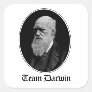 Team Darwin Vierkante Sticker