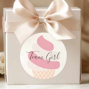 Team Girl Ice Cream Pastel Kleur Geslacht Onthulle Ronde Sticker