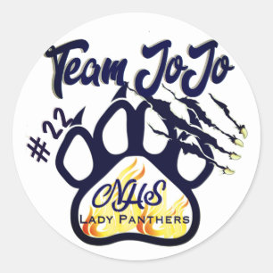 Team Jo Sticker Northshore Lady Panthers Ball