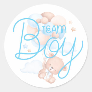 Team Jongen Waterverf Teddybeer Geslacht Reveal Ronde Sticker