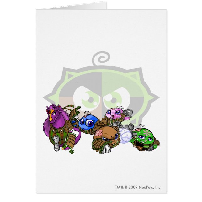 Team Kiko Lake Group (Voorkant)