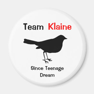 Team Klaine Magneet