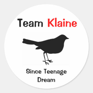 Team Klaine Ronde Sticker