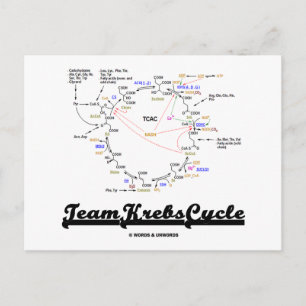 Team Krebs Cycle (Citroenzuurcyclus - TCAC) Briefkaart
