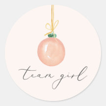 Team Meisje Roze Kerstmis Ornament Geslacht Onthul