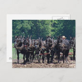 Team met zes paarden briefkaart (Voorkant / Achterkant)