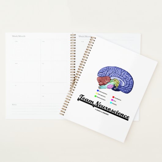 Team Neuroscience Brain Anatomee Attitude Planner (Display)