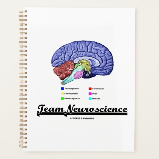 Team Neuroscience Brain Anatomee Attitude Planner (Voorkant)