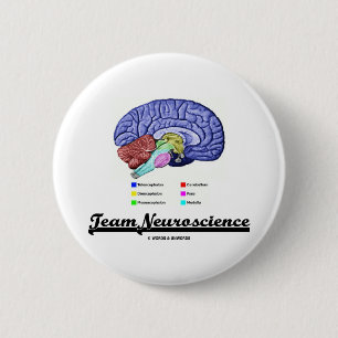 Team Neuroscience (hersenanatomie Attitude) Ronde Button 5,7 Cm