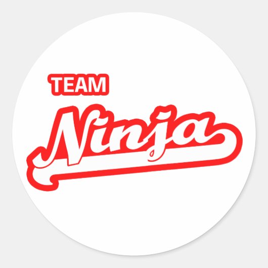 Team Ninja Ronde Sticker (Voorkant)