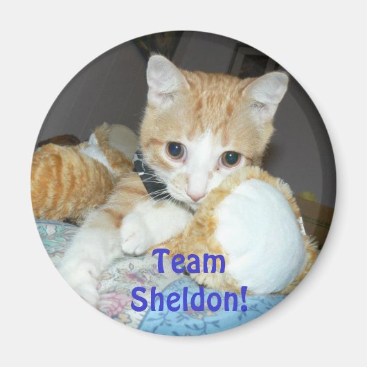 Team Sheldon Magnet Magneet (Voorkant)
