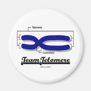 Team Telomere (Biology Humor) Magneet