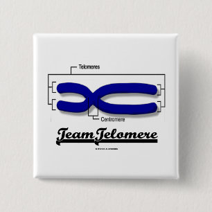 Team Telomere (Biology Humor) Vierkante Button 5,1 Cm