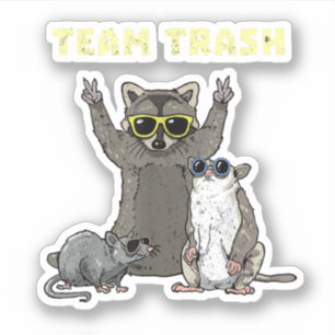 Team Trash Opossum Wasbeer Rat, Grappige Dieren Ga Sticker