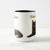 Team Tyson de Fox kids mok (Midden)