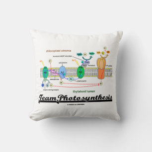 Teamfotosynthese Lichtafhankelijke reacties Kussen