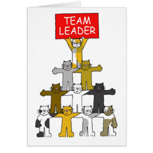 Teamleider Cartoon Cats
