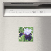 Teamwork - Lange Bearded Iris Magneet (Insitu (Vaatwasser))
