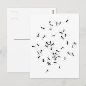 Teamwork maakt het droomwerk briefkaart (Voorkant / Achterkant)