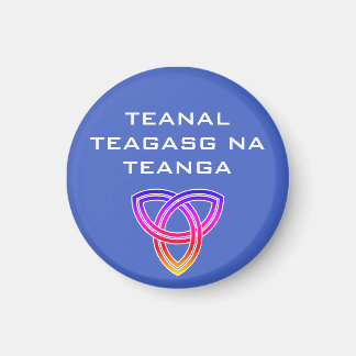 Teanal Teagasg na Teanga Magnet