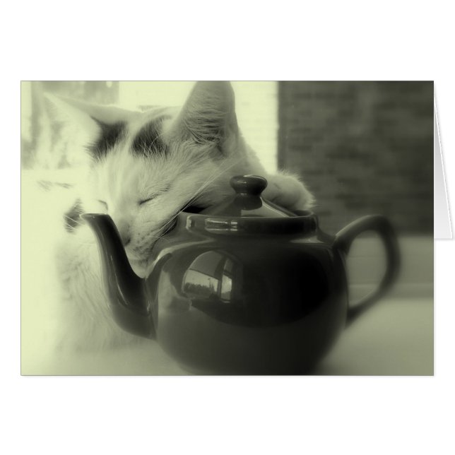 Teapot Pillow (Voorkant Horizontaal)