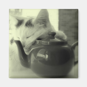 Teapot Pillow Magneet