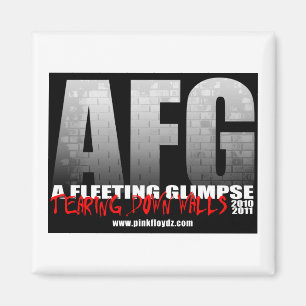 "Tearing Down Walls" Magnet Magneet