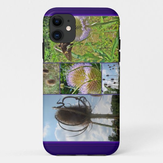 Teasel Thistle - Dipsacus fullonum Case-Mate iPhone Case (Achterkant)