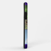 Teasel Thistle - Dipsacus fullonum Case-Mate iPhone Case (Achterkant/rechts)
