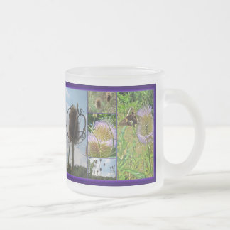 Teasel Thistle - Dipsacus fullonum Matglas Koffiemok