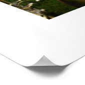 TEATIME Poster (Hoek)