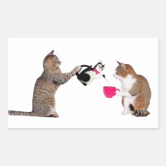 Teatime voor katten rechthoekige sticker (Voorkant)