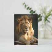 TecBoy Briefkaart - Leeuw (verticaal) (Staand voorkant)
