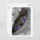 Technicolored Creature Briefkaart (Voorkant / Achterkant)