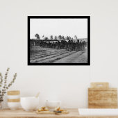 Technicus Corps Ambulance Train 1863 Poster (Keuken)