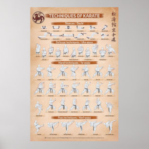 TECHNIEKEN VAN KARATE, ingediend door Fiore Tartag Poster