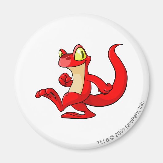 Techo Red Magneet (Voorkant)