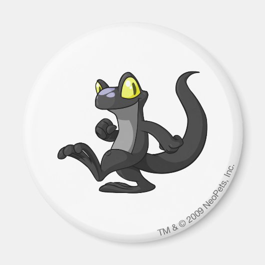 Techo Shadow Magneet (Voorkant)