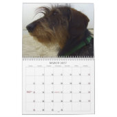 Teckel 2009 - calendrier personnalisable ! (Mar 2027)