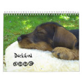 Teckel 2009 - calendrier personnalisable ! (Protection)