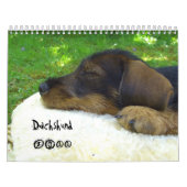 Teckel 2011 - calendrier personnalisable ! (Protection)