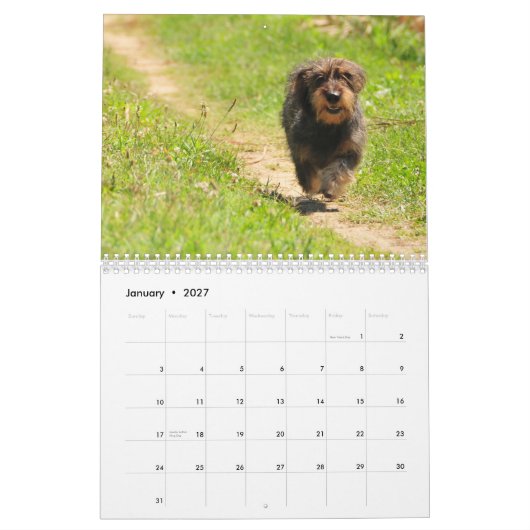 Teckel 2011 - calendrier personnalisable ! (Jan 2027)
