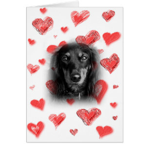 Teckel avec la carte rouge de coeurs