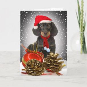 Teckel Christmas Hound Kaarten